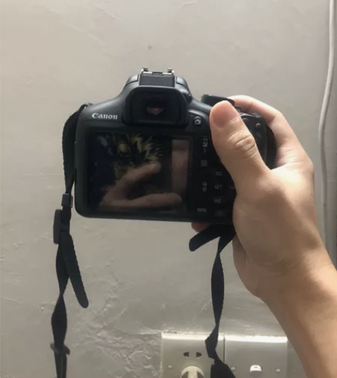 Canon/佳能EOS 1300D单反…以...