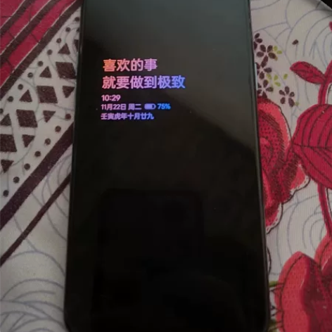 真我Q3Pro狂欢版 外观磕碰瑕疵 手机正...