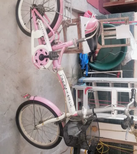 上海凤凰自行车，女儿学车时买的，基本上没骑...