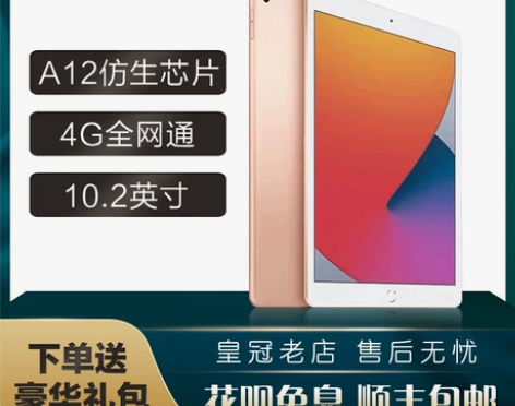 Apple/苹果10.2 英寸iPad8代...