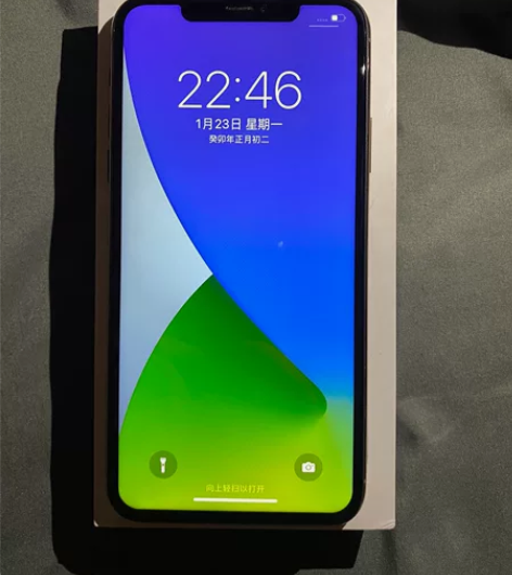 苹果11 Pro Max，不讲价过年没钱用...