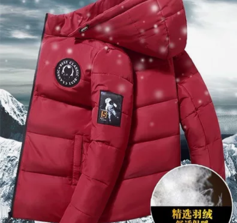 【工厂价限时优惠】促销羽绒服男士短款白鸭绒...