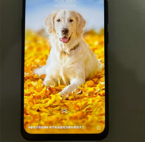 vivo Z5x（6GB/128GB/全网...