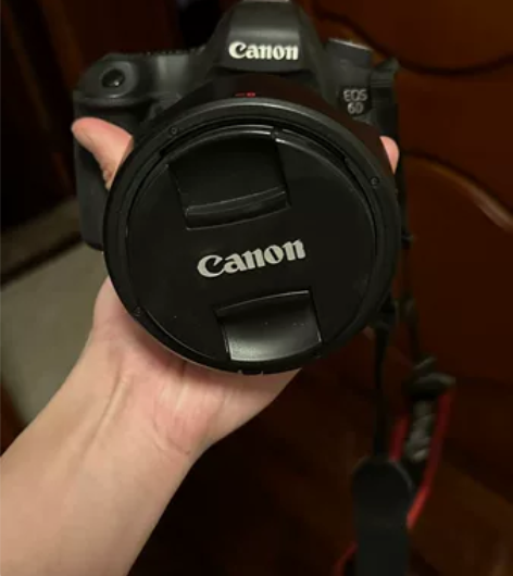 单反canon佳能eos 6d，2470镜...