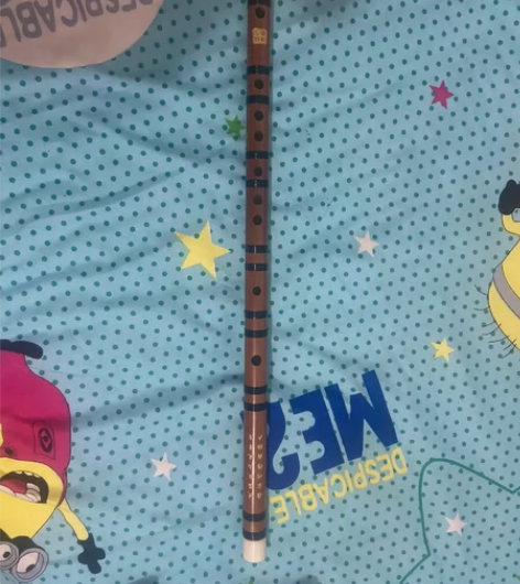 全新未使用转给需要的亲们，笛子初学竹笛零基...