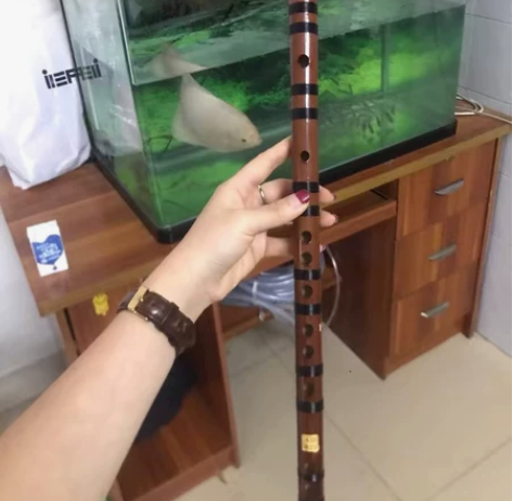 原价200多的竹笛  苦竹笛子出售，有CD...