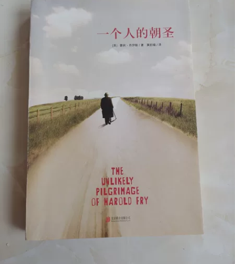 全新书籍，一个人的朝圣，包邮 感兴趣的话点...
