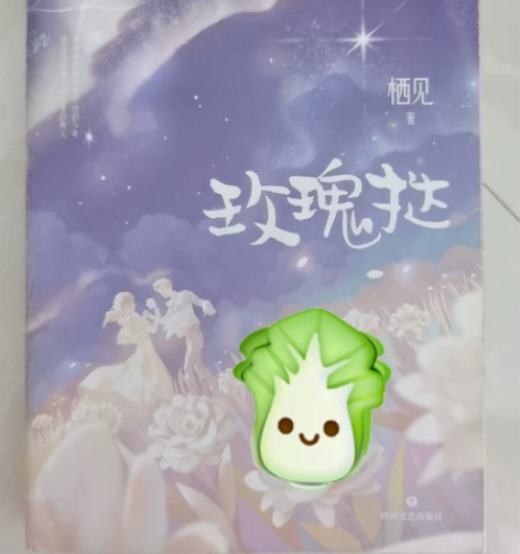 高考完了好多书不要了，白菜价出（有言情有名...