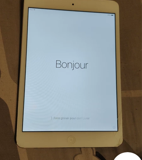 ipad mini2 电池效能100% i...