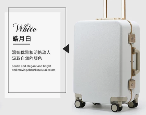 袋鼠旅行箱男登机箱24网红拉杆箱万向轮海关...