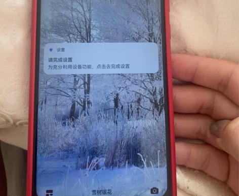 Huawei/华为 华为 Mate 30（...