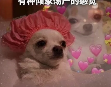 【综合盘票楼】收音乐剧危险游戏 【有】1....