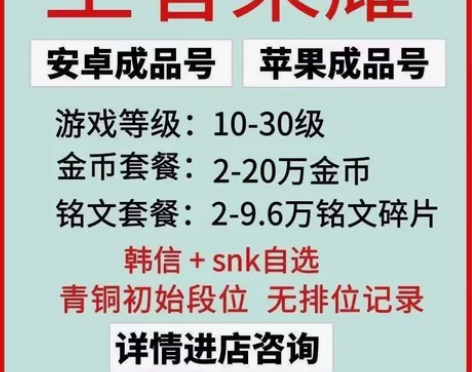 王者荣耀账号/安卓Q区金币号/永久满级铭文...