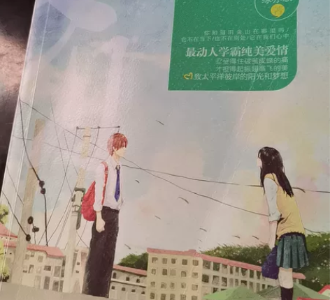 《岁月忽已暮》，校园言情小说，可作收藏，可...