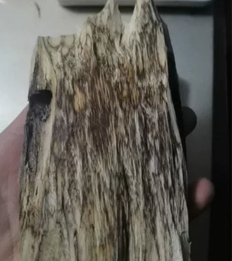 白木香 奇楠沉香原木开出来的 熏香木块 可...