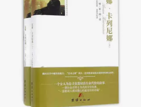 安娜.卡列尼娜(上下)(全译本) (俄)托...