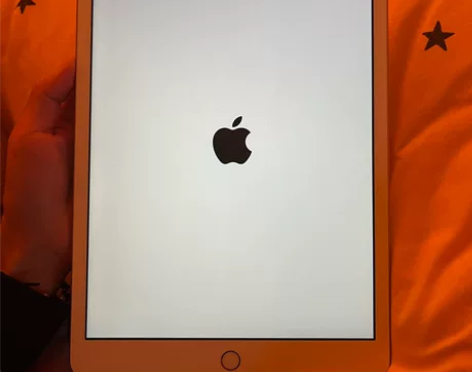 自用款国行iPad,9成新,买后不太常用,...