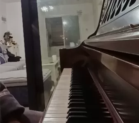 上海门卡利尔钢琴，原价近3万，由于家里又买...