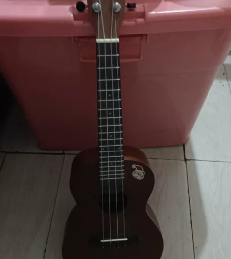 安德鲁尤克里里初学者入门23寸，一时兴起买...