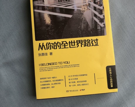 从你的全世界路过  张嘉佳 青春文学言情小...