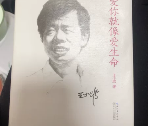 爱你就像爱生命纪念版王小波现当代文学散文随...