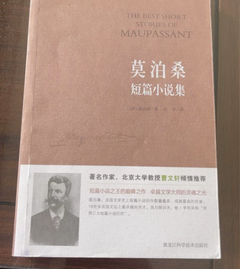 莫泊桑短片小说集 有轻微折痕（介意慎拍） ...