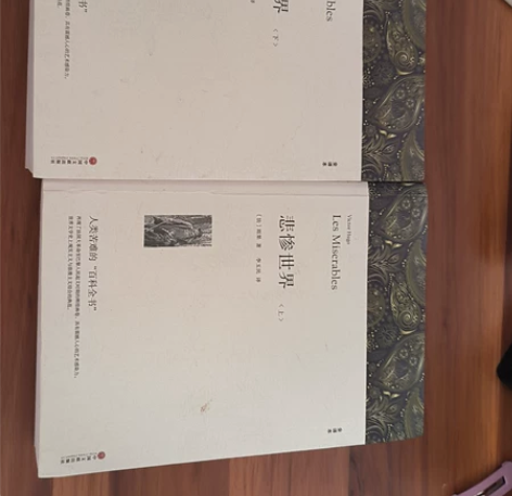 书名《悲惨世界》上下    两本 由于我已...