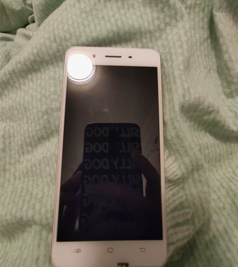 vivo y55(2 G+16 G)双卡双...