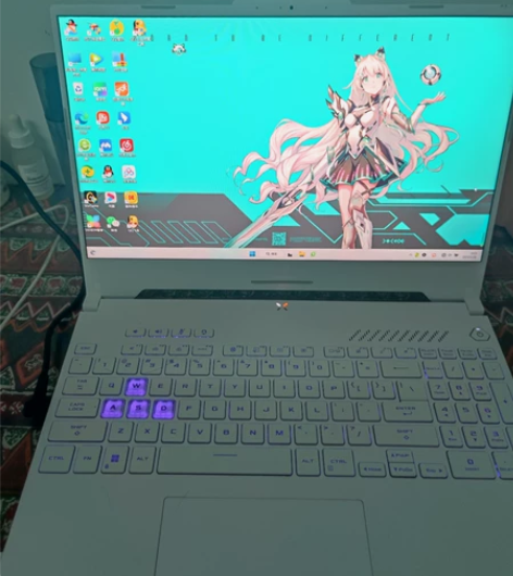 新买12天的华硕天选3,笔记本电脑,本来深...