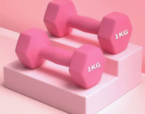 【礼遇价】哑铃女士健身家用实心纯铁举重杠铃...