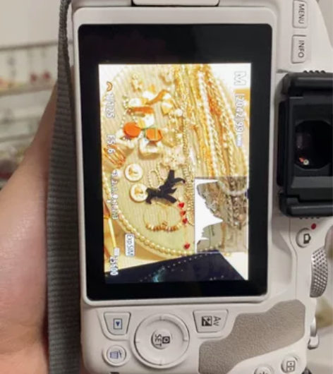 Canon/佳能 EOS 200D II ...