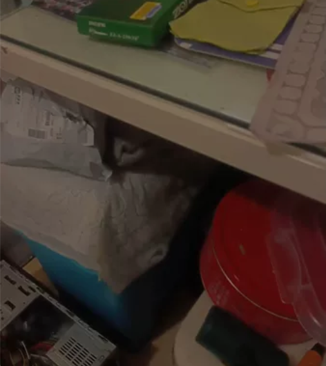 出售一台家用四核电脑，机箱是惠普机箱，主板...