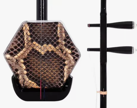 二胡线上陪练 上海音乐学院研究生线上陪练 ...