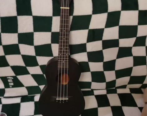 新手用尤克里里，没用过几次，价格好商量！ ...