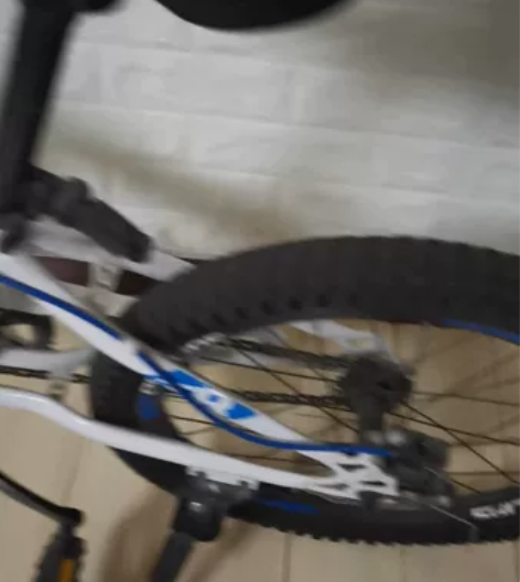 菲利普，20寸山地自行车。 买了骑过几次，...