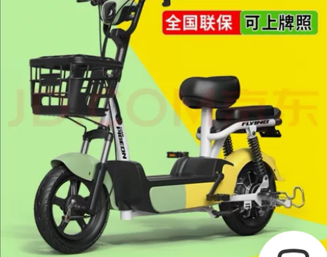 出飞鸽新国标电动车，型号TDT6003Z，...