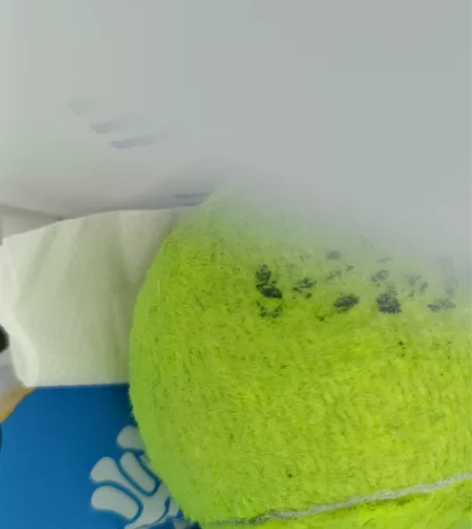 二手网球，10个 感兴趣的话点“我想要”和...