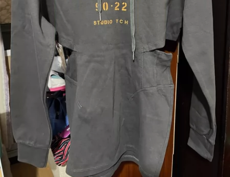 小个子韩系连帽卫衣裙女2022秋季新款设计...