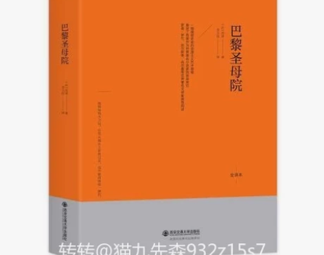 巴黎圣母院（法国大文豪雨果代表作之一，《纽...