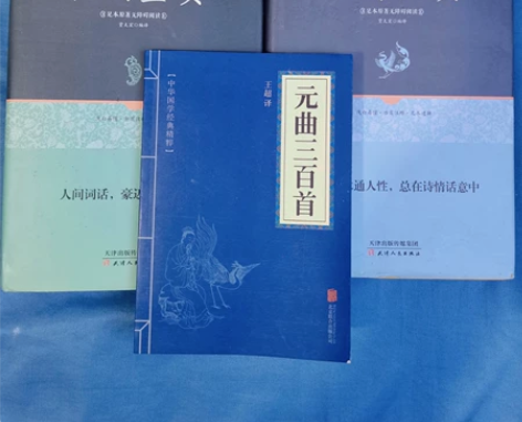 唐诗宋词正版全集赠元曲三百首中国古诗词赏析...