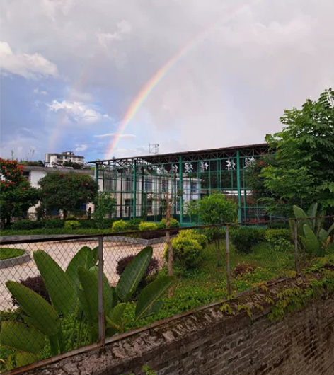 三星A53 5G,6.5英寸+120hz好...