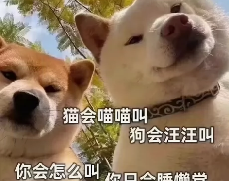 1900收一台12+256的荣耀30pro...