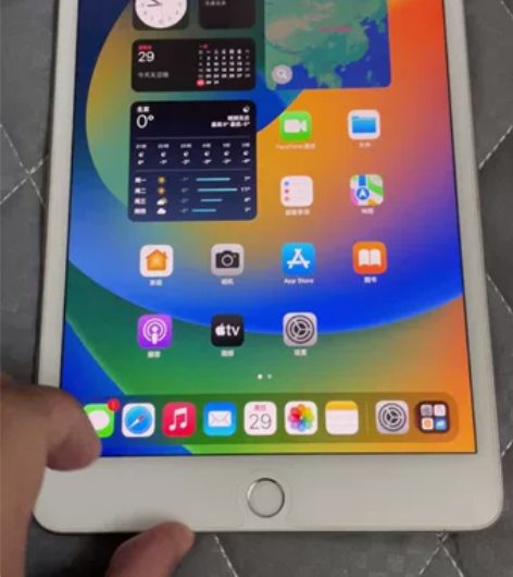 苹果/ iPad   ipad mini5...