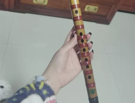 森雀竹笛笛子初学零基础成人苦竹笛精制入门横...