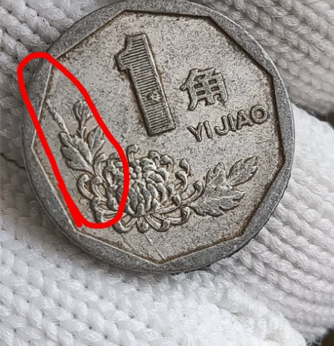 开枝散叶！菊花一角一枚！多肉！流通品！（A...