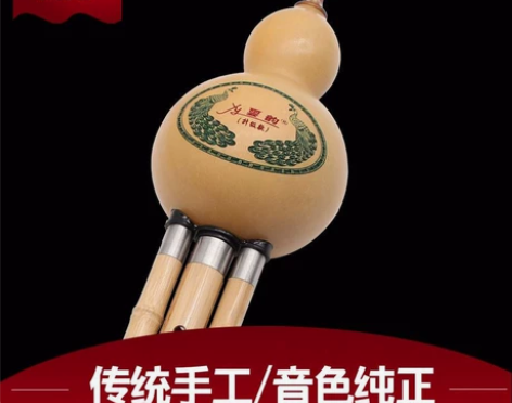 云韵葫芦丝乐器降b调成人初学者小学生入门专...