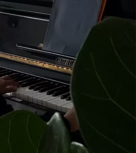 捡漏吧!HORUGEL钢琴 老古董,可当...