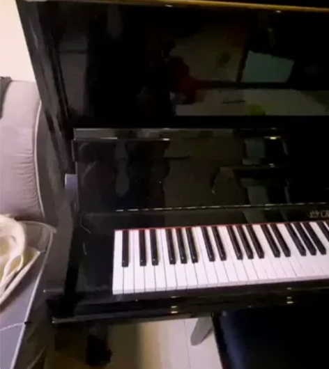 白菜价出售自家用钢琴。品牌：皇冠。高122...