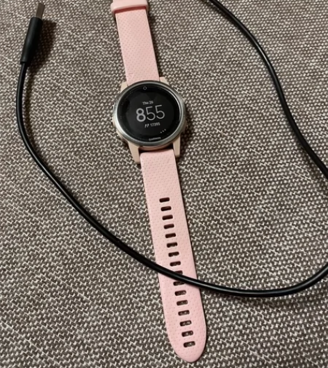 自用佳明Garmin Fenix5s  运...