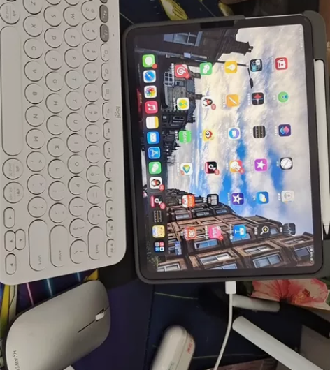 ipad pro 2021 256G国行 ...